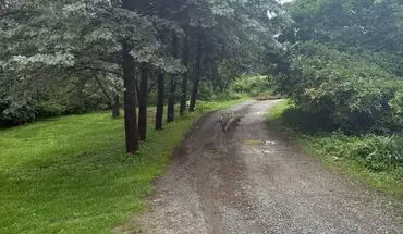 4 of 15 18 Run Rd Apartment for rent in Carlisle, PA