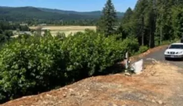 5 of 6 90583 Sunderman Rd House for rent in Springfield, OR