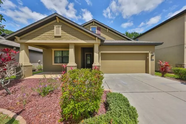 Beautiful Single-family Home Apartment for rent in Brandon, FL Beautiful Single-family Home Apartment for rent in Brandon, FL
