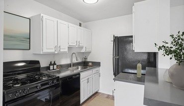 ReNew Springfield Apartment for rent in Springfield, VA