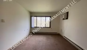 5 of 11 202 N Main St Apartment for rent in Plainfield, WI
