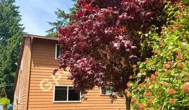 3 of 19 7618 199Th St House for rent in Edmonds, WA