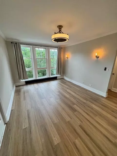 1849 S Euclid St Apartment for rent in Berwyn, IL