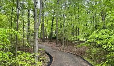 2 of 27 12100 Henderson RD House for rent in Clifton, VA