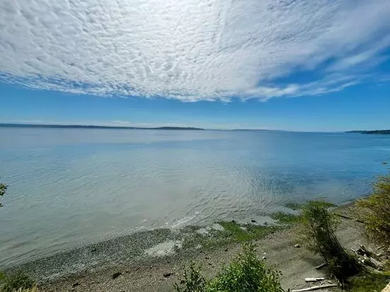 Newly Remodeled Bainbridge Retreat W/water & Mountain Views! Apartment for rent in Bainbridge Island, WA