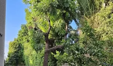 5 of 13 (anna) 4610 Natick Avenue Apartment for rent in Sherman Oaks, CA