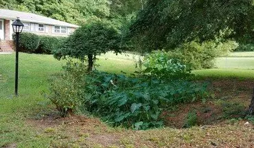 3 of 12 Newly Renovated Home In West Georgia House for rent in Douglasville, GA