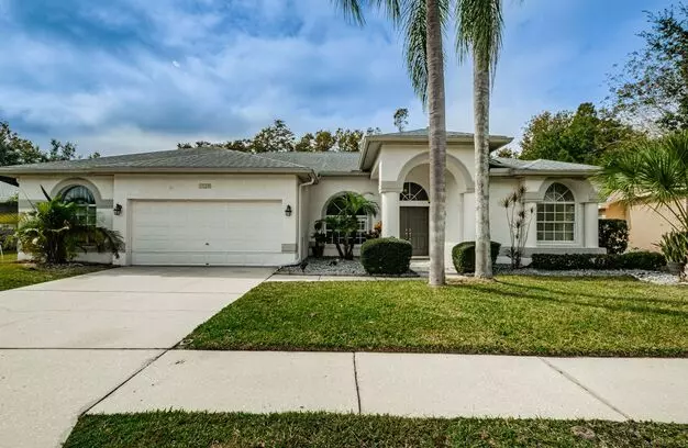 Pool Home In Trinity! Apartment for rent in Trinity, FL Pool Home In Trinity! Apartment for rent in Trinity, FL