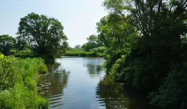 5 of 43 Windsor Pond Apartments Apartment for rent in Windsor, WI