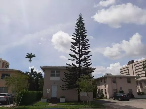 110 Antiquera Ave Apartment for rent in Coral Gables, FL
