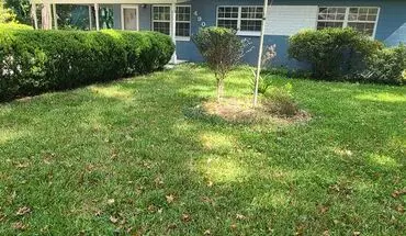 2 of 42 4905 SW 47th St House for rent in Gainesville, FL