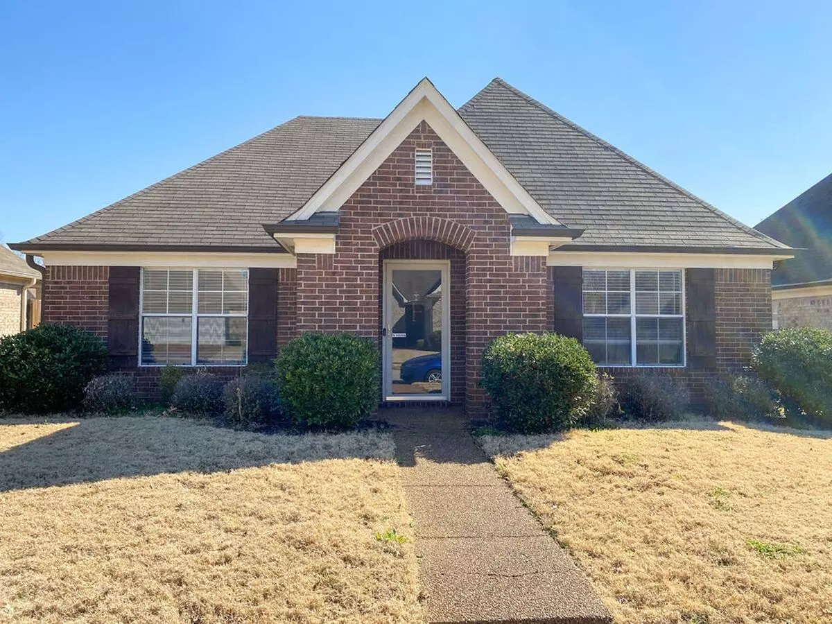3 Bed, 2 Bath With Granite Counters, Ss Appliances, Fresh Paint In Cordova House for rent in Cordova, TN