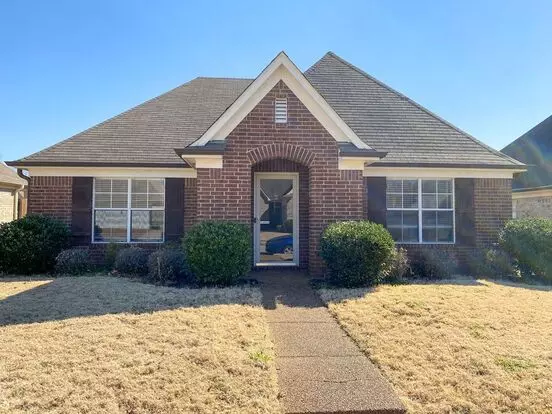 3 Bed, 2 Bath With Granite Counters, Ss Appliances, Fresh Paint In Cordova Apartment for rent in Cordova, TN