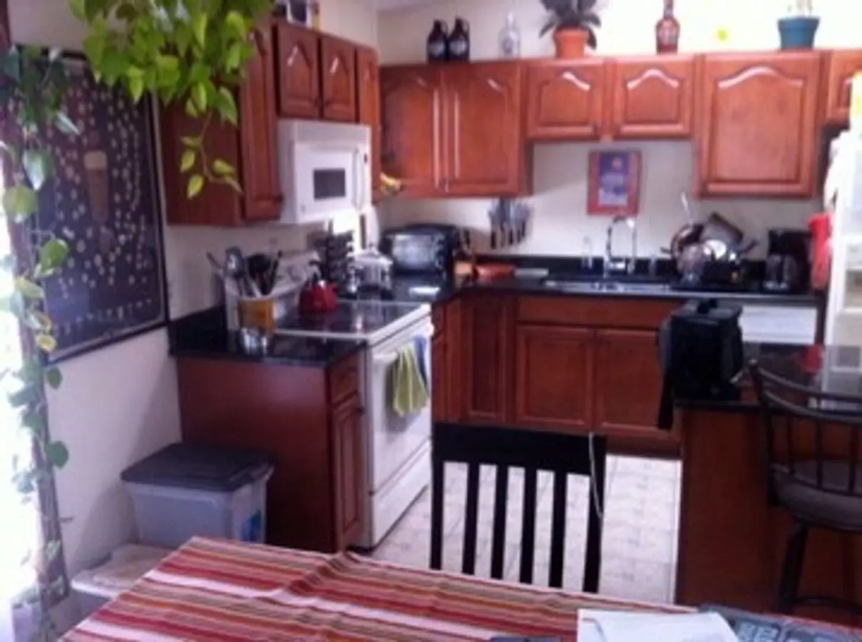 Walk To Downtown Niwot From The Ranch House For Rent On A Large Beautiful Lot! House for rent in Niwot, CO