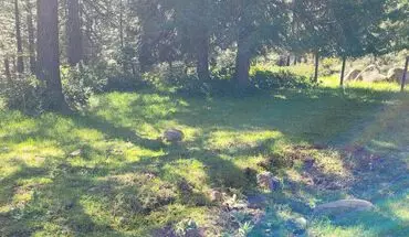 4 of 21 2 Bedroom 1` Bath House for rent in Keno, OR