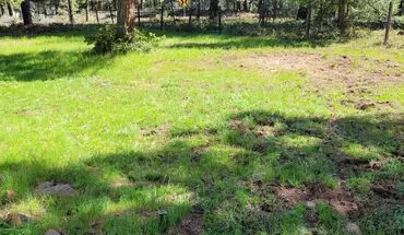 5 of 21 2 Bedroom 1` Bath House for rent in Keno, OR