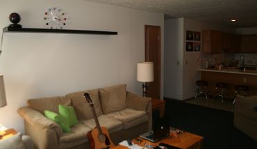 106 S Walnut Apartment for rent in Normal, IL