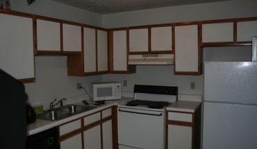 201 N Linden Apartment for rent in Normal, IL