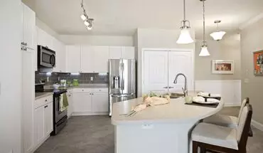 3 of 43 Tortuga Pointe By Arium Apartment for rent in St Petersburg, FL