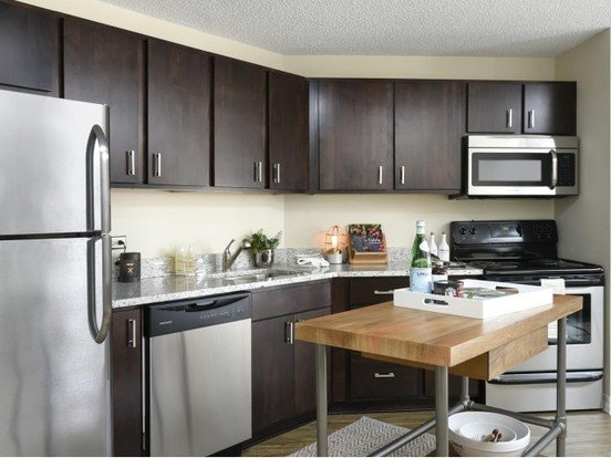 Chestnut Place Apartment for rent in Chicago, IL