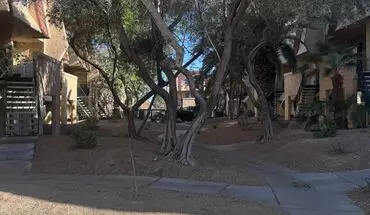 2 of 20 1303 Darlene #106B Apartment for rent in Boulder City, NV