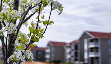 Pines45 Apartments Apartment for rent in Gaylord, MI