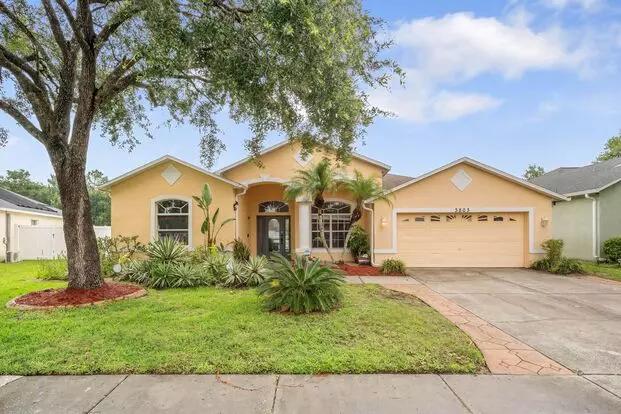 Spacious 4br Pool Home With Jacuzzi In Desirable Grand Oaks Community! Apartment for rent in Land O Lakes, FL