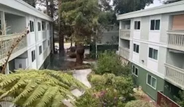 5 of 42 Corinthian House - Welcome Home Seniors! Apartment for rent in Campbell, CA