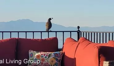4 of 50 2184 E Eagle Crest Dr House for rent in Draper, UT