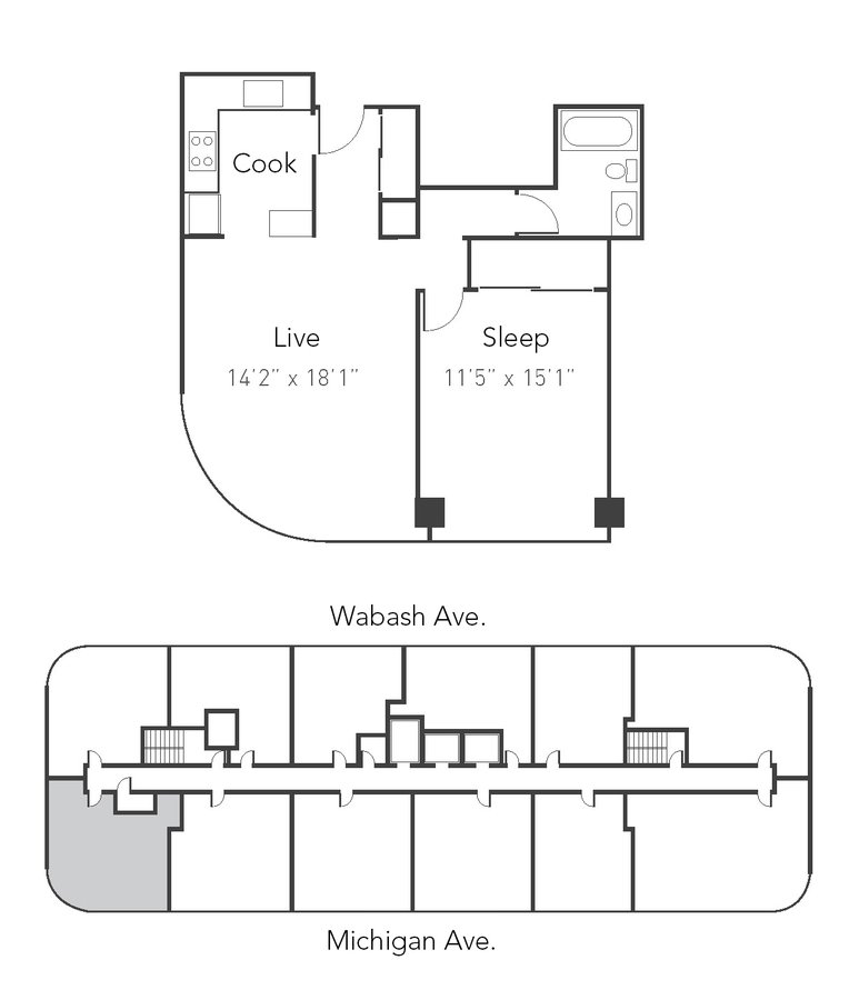 1 Bedroom 1 Bathroom Apartment for rent at Park Michigan - 1212 S Michigan Ave in Chicago, IL