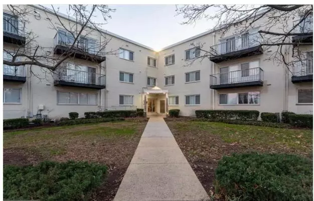 Spacious And Newly Remodelled At The Fairmont! Pets Welcome! Parking!!! Apartment for rent in Hyattsville, MD Spacious And Newly Remodelled At The Fairmont! Pets Welcome! Parking!!! Apartment for rent in Hyattsville, MD