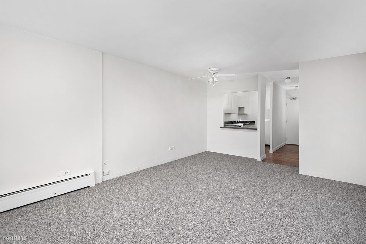 1330 N. Dearborn Apartment for rent in Chicago, IL