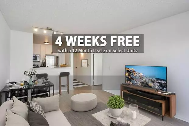 The Collective Apartment for rent in Los Angeles, CA The Collective Apartment for rent in Los Angeles, CA