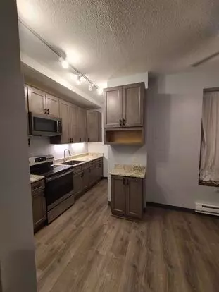 Newly Renovated Apartment In Historic Elliot Park Apartment for rent in Minneapolis, MN Newly Renovated Apartment In Historic Elliot Park Apartment for rent in Minneapolis, MN