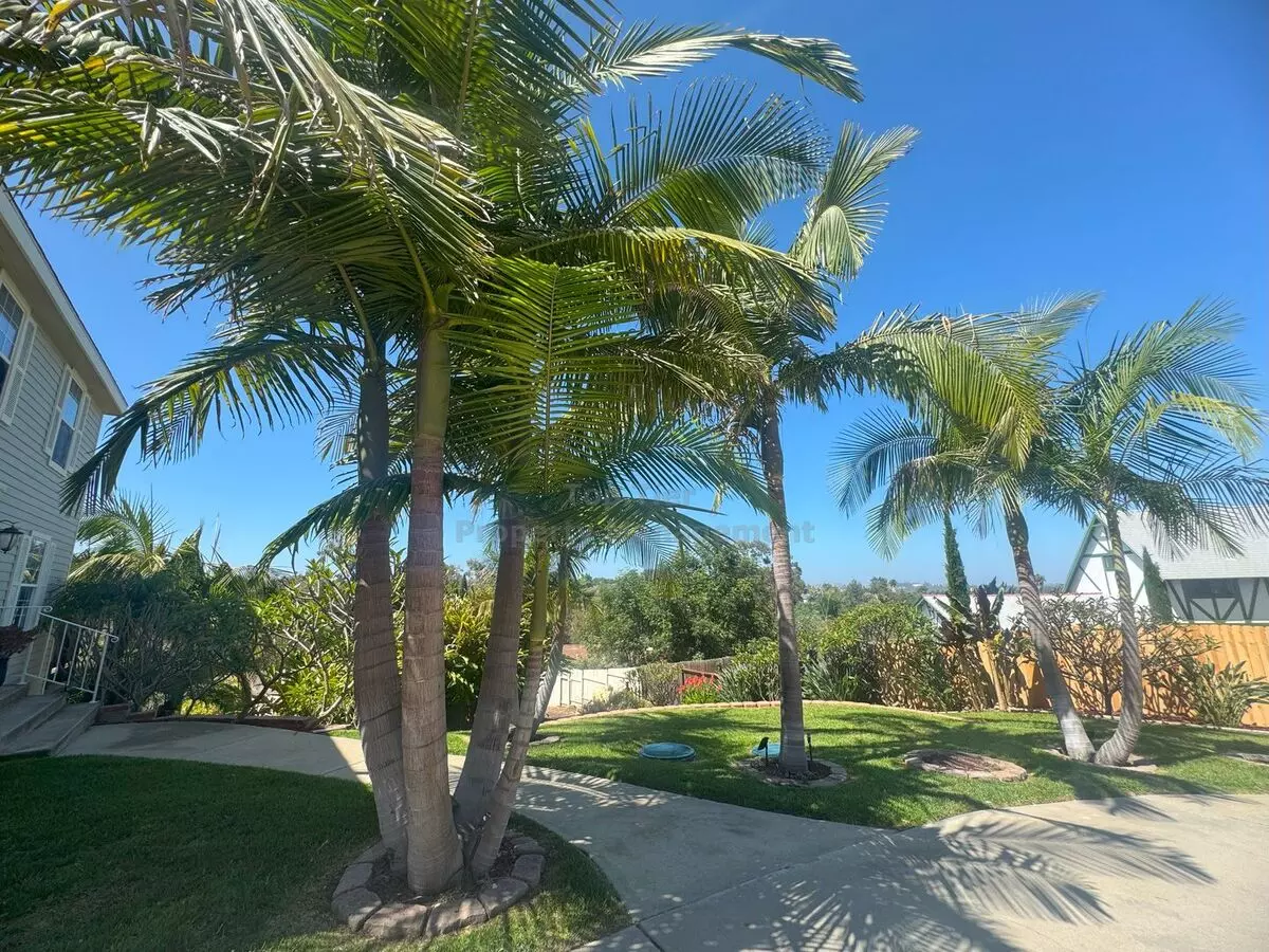 Spacious 4-bedroom Home On Expansive Lot In Vista – Landscaping And Pool Service Included! House for rent in Vista, CA