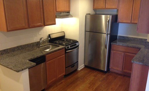 14 West Elm Apartments Apartment for rent in Chicago, IL