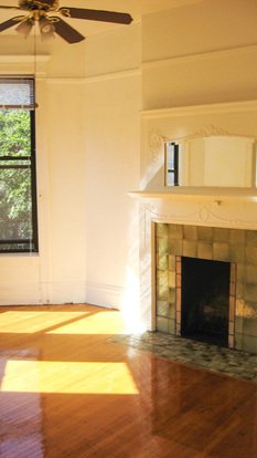 Lincoln Park Apartment for rent in Chicago, IL