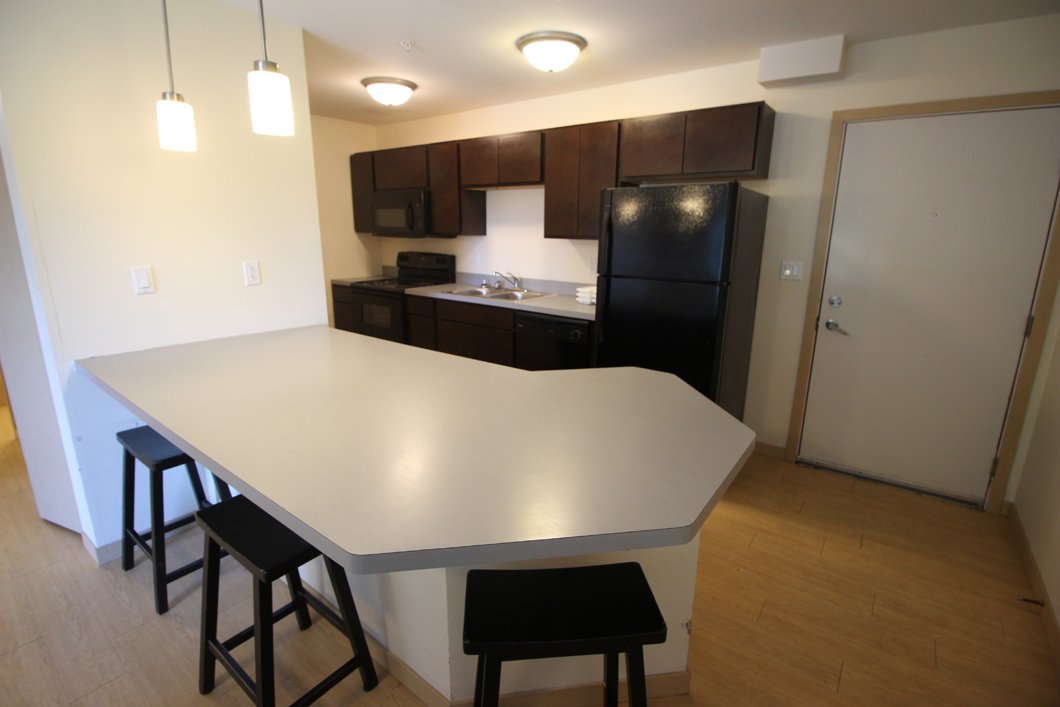 1106 S Euclid Champaign, IL Apartment for Rent Rentable