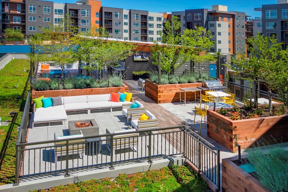 Northeast 22nd Place Bellevue Wa Apartment For Rent