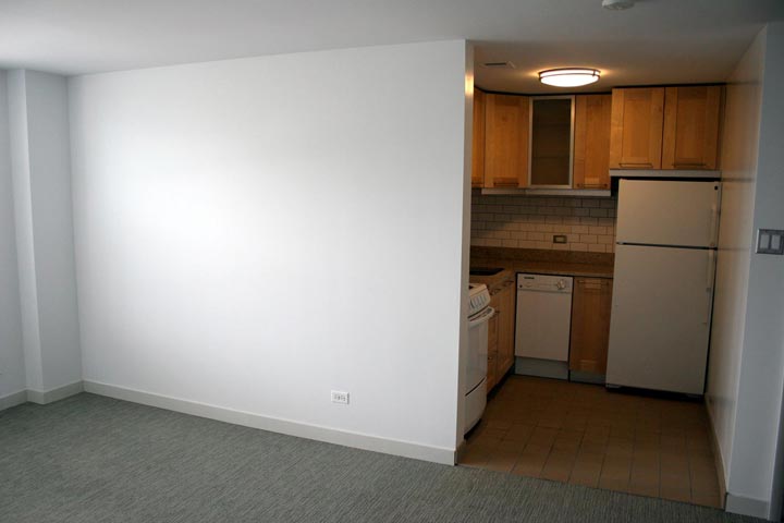 1 Bedroom 1 Bathroom Apartment for rent at The Blackwood in Chicago, IL