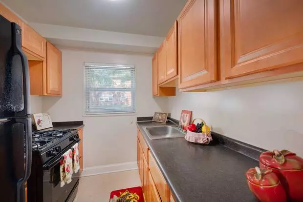 Springfield Gardens Apartment for rent in Springfield, VA