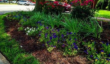 4 of 24 Green Tree Apartments Apartment for rent in Chesapeake, VA