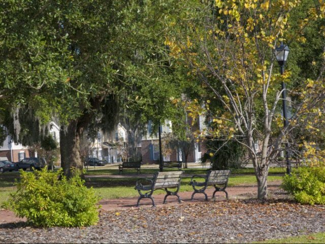 Ashley Midtown Apartment for rent in Savannah, GA