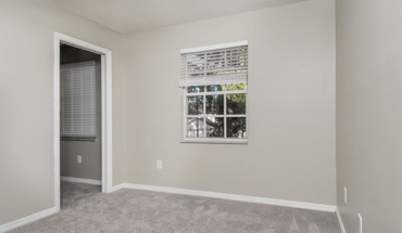 5 of 15 1403 Midoneck Ct Apartment for rent in Valrico, FL