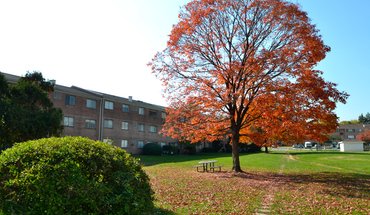 Chelsea Square Apartments Apartment for rent in Springfield, VA