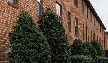 Oak Grove Apartments Apartment for rent in Chesapeake, VA