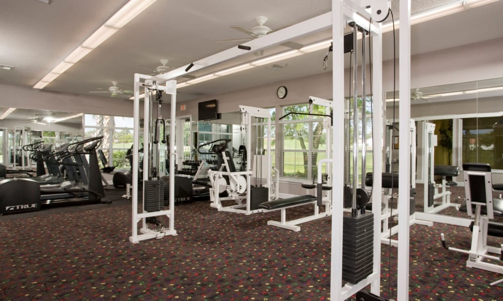 Audubon Oaks Apartment for rent in Lakeland, FL