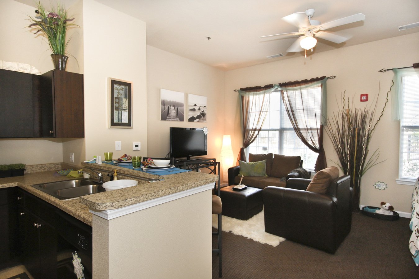 First Street Place Apartments Greenville, NC