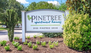 Pinetree Apartment for rent in Petersburg, VA