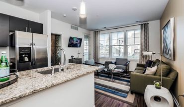 3 of 60 Tapestry Naperville Apartment for rent in Naperville, IL